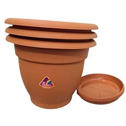 Show details for Nursary Pot Family Picture of Nursary Pot Family